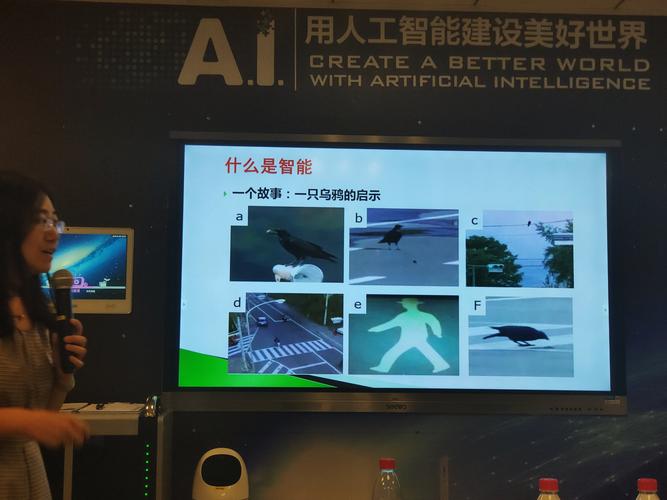 人工智能应用软件开发 赋能350所学校的教育创新实践